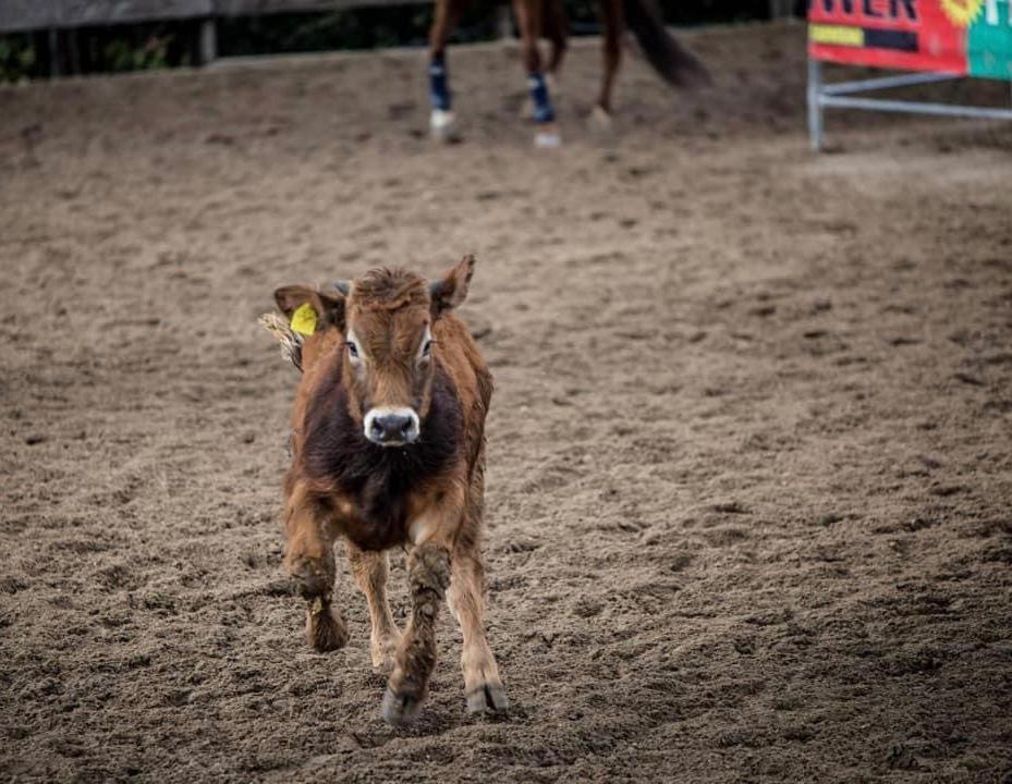 Willa Belmonte Ranch Belmonte Castello Zewnętrze zdjęcie