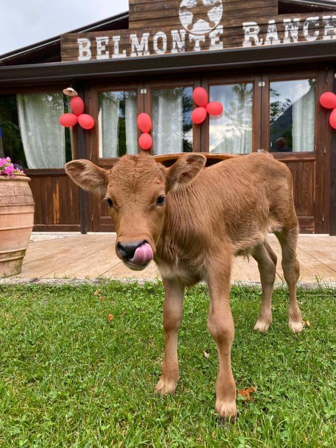 Willa Belmonte Ranch Belmonte Castello Zewnętrze zdjęcie